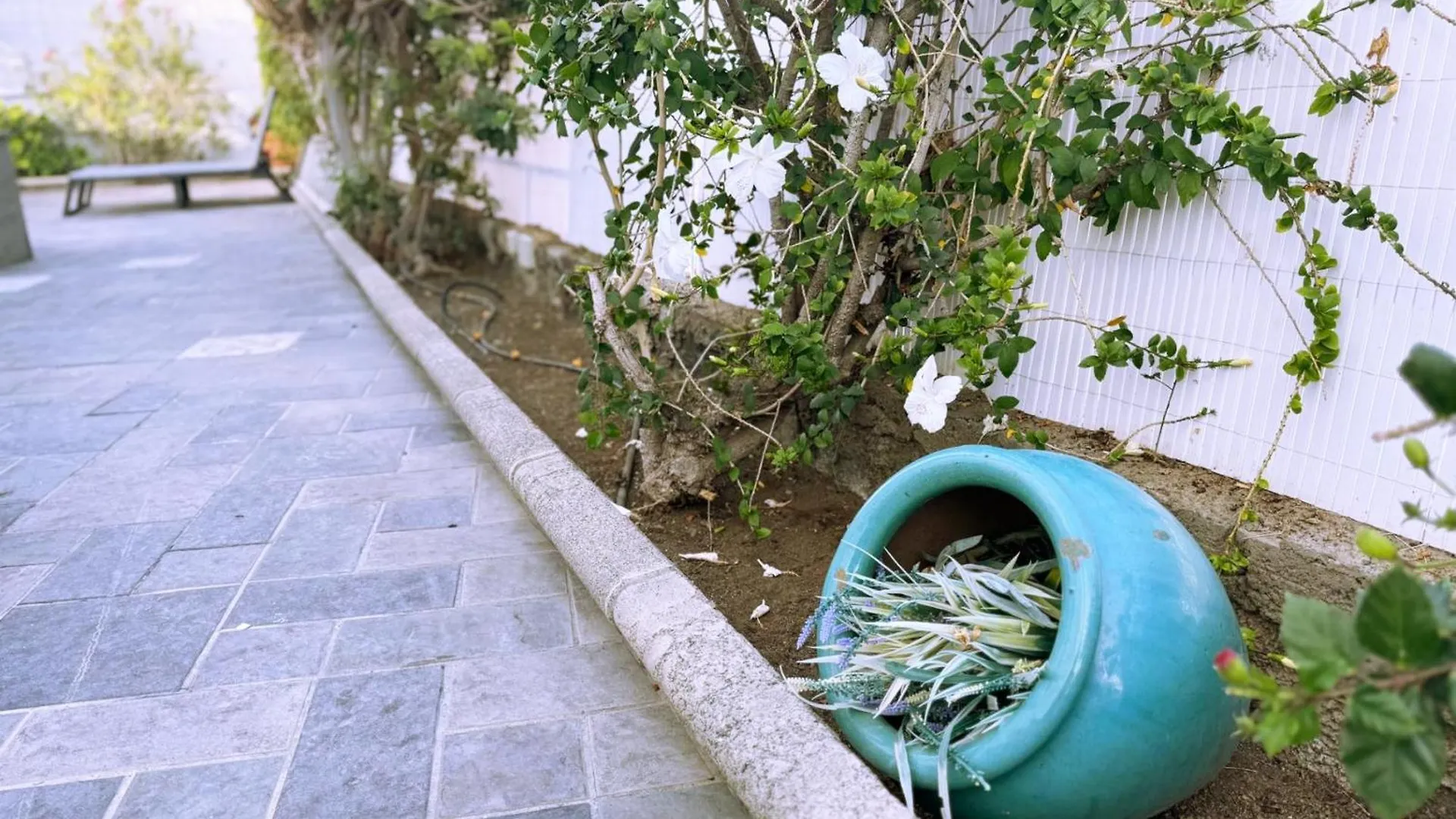 Hibiscus Holiday Home Playa del Ingles